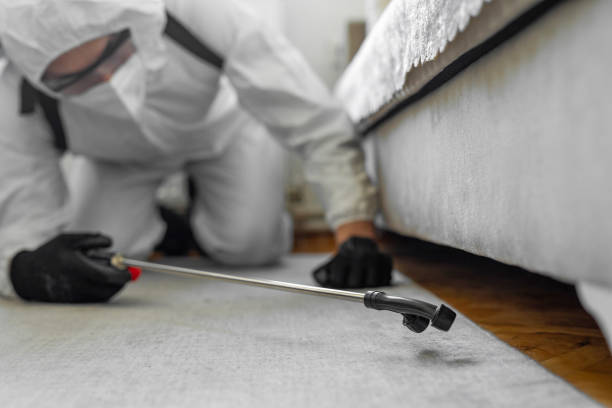 Professional Bed Bug Control technician working in Mesita, NM